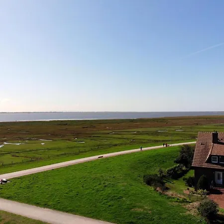 Gartenblick, Klaar Kimming